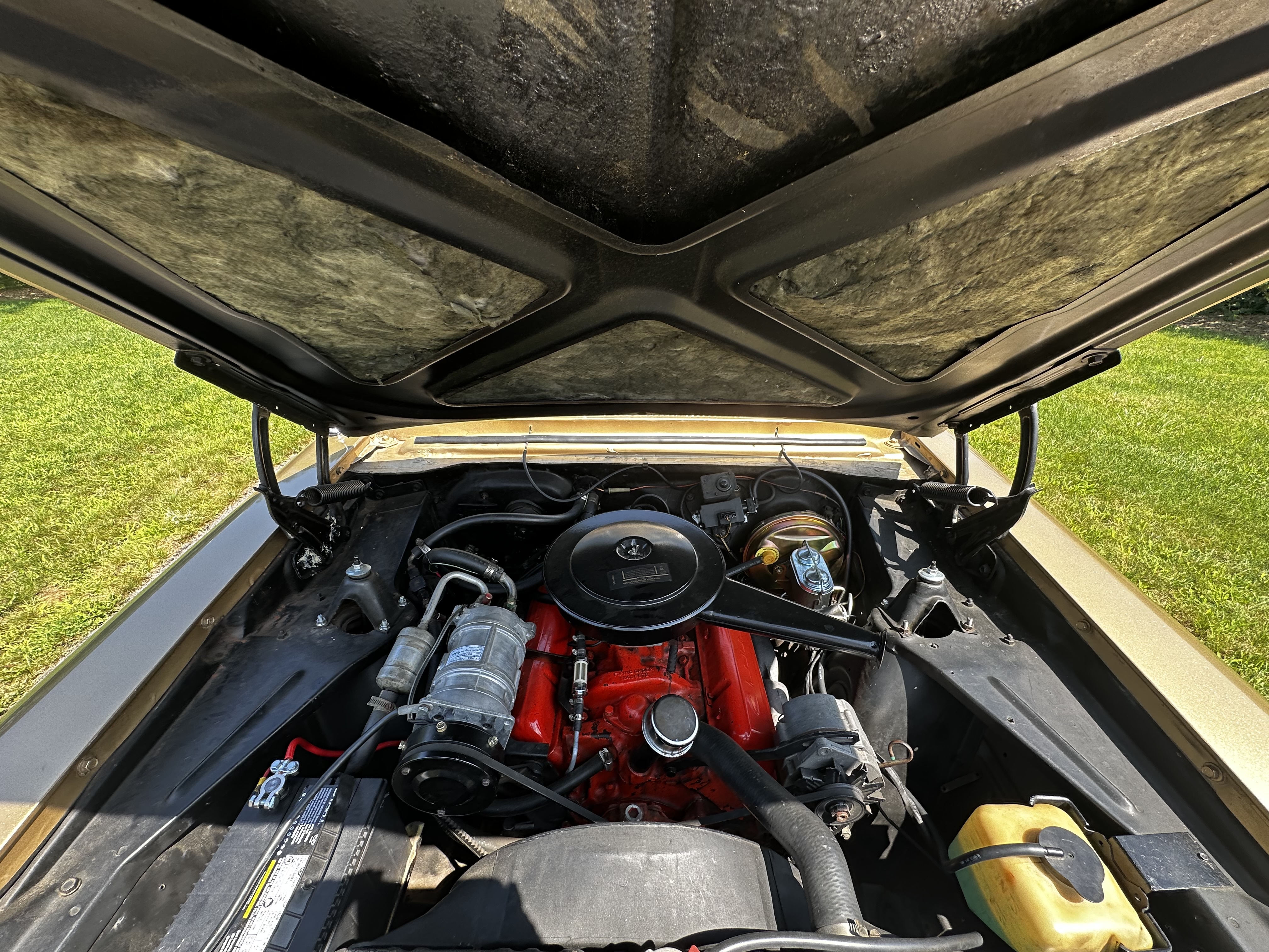 1967 Chevrolet Nova 10