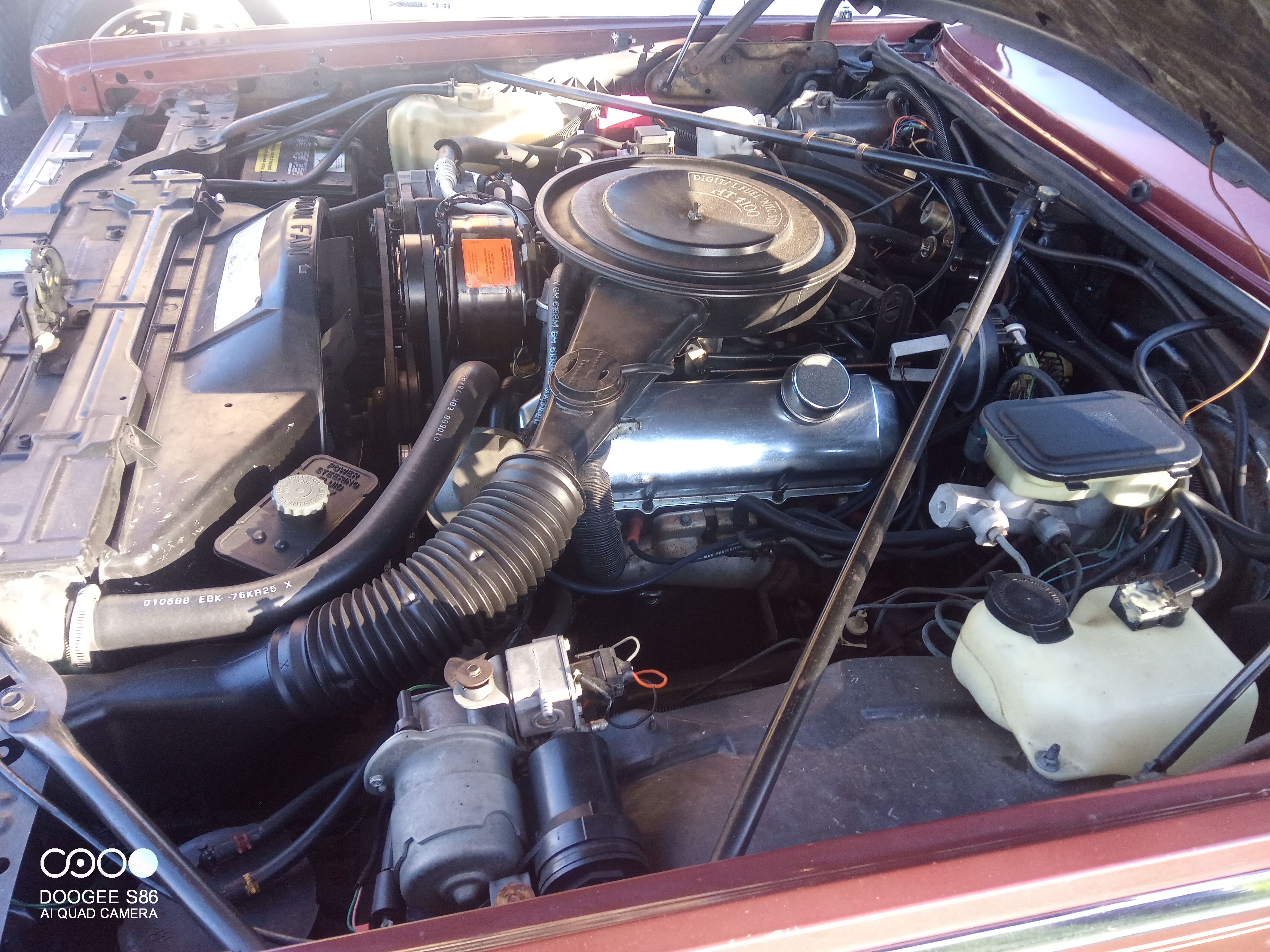 1982 ELDORADO Biarritz 7