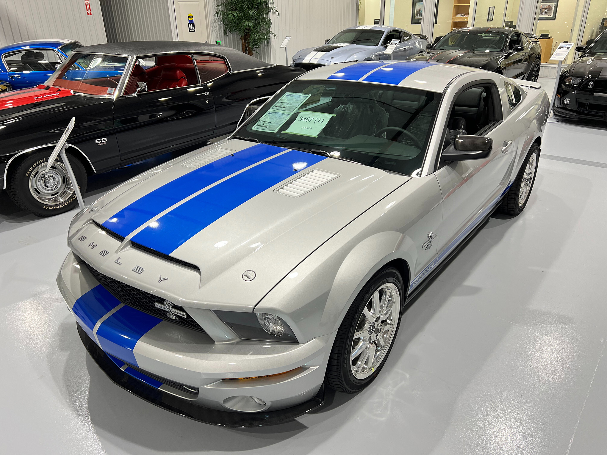 2009 Ford  Shelby GT500 KR 3