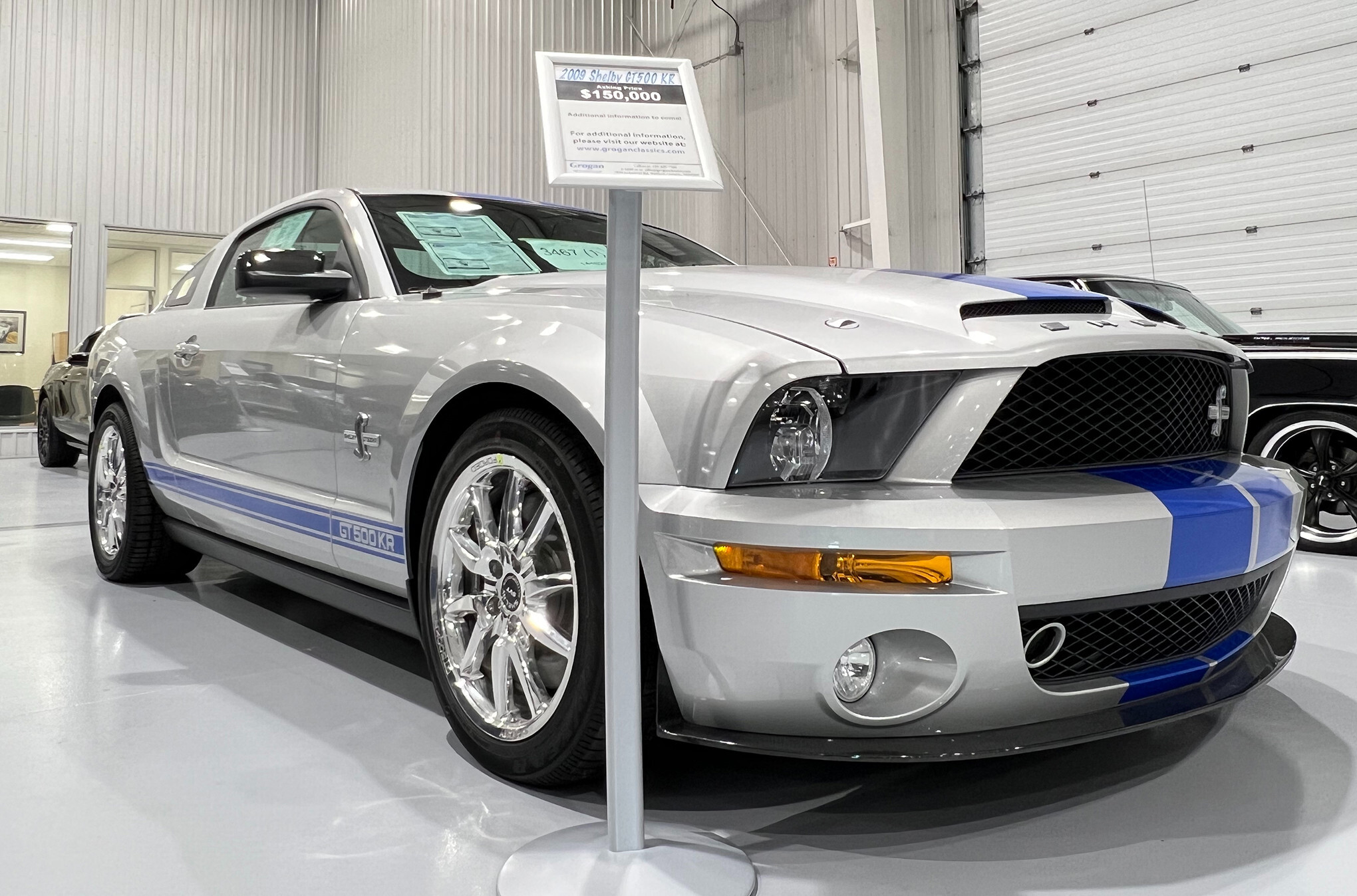 2009 Ford  Shelby GT500 KR 13