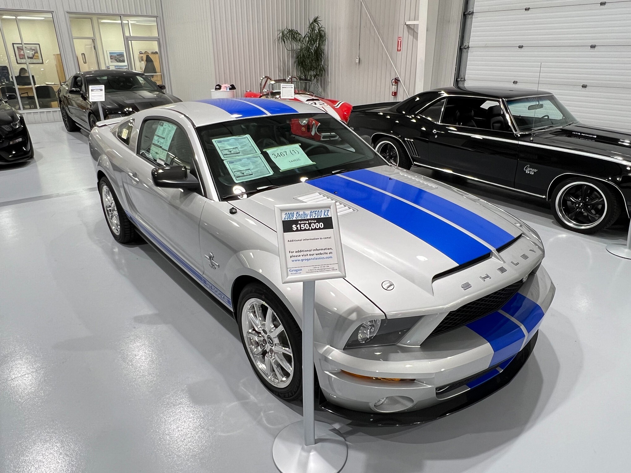 2009 Ford  Shelby GT500 KR 14