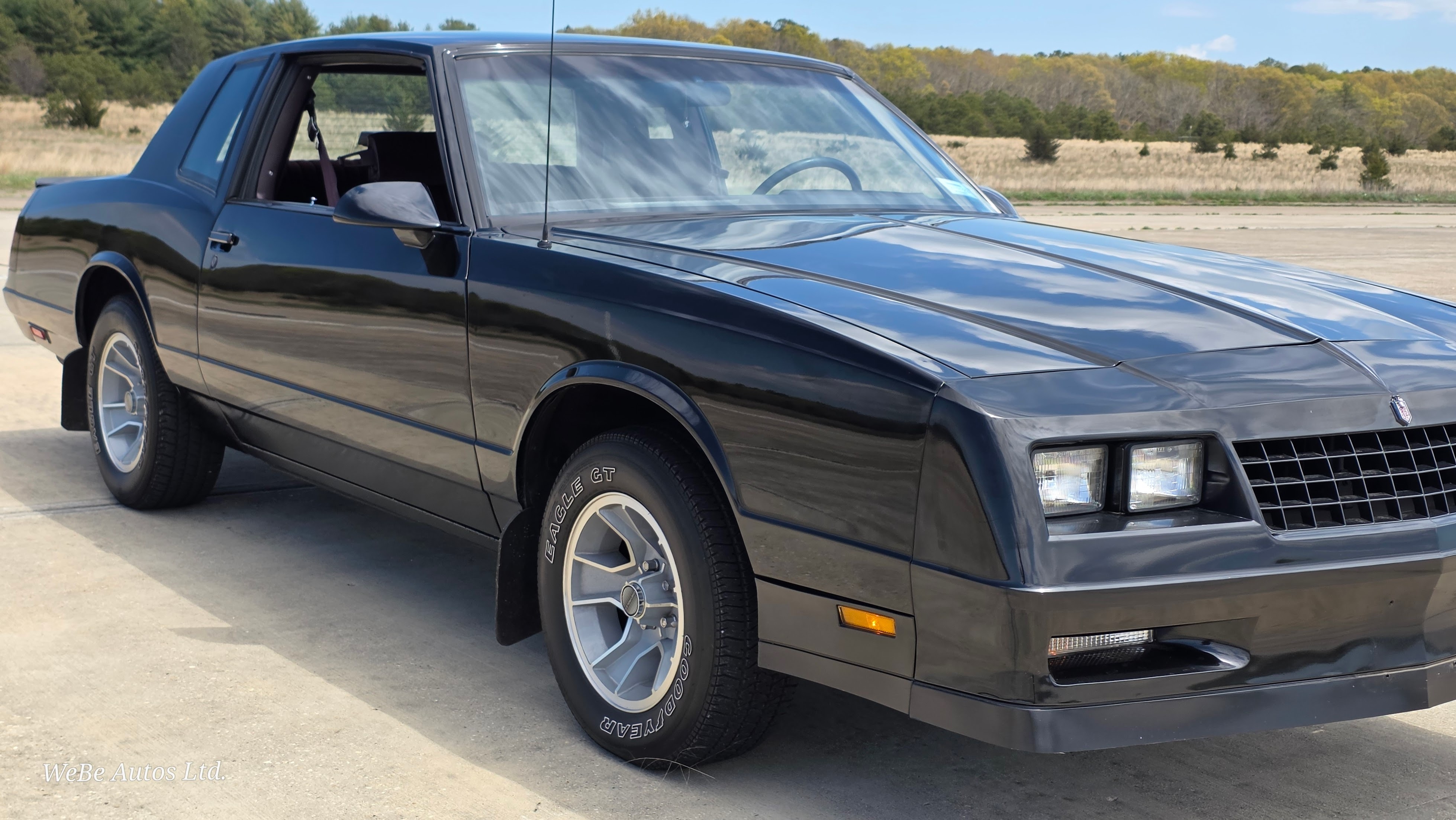 1987 Chevrolet Monte Carlo 17