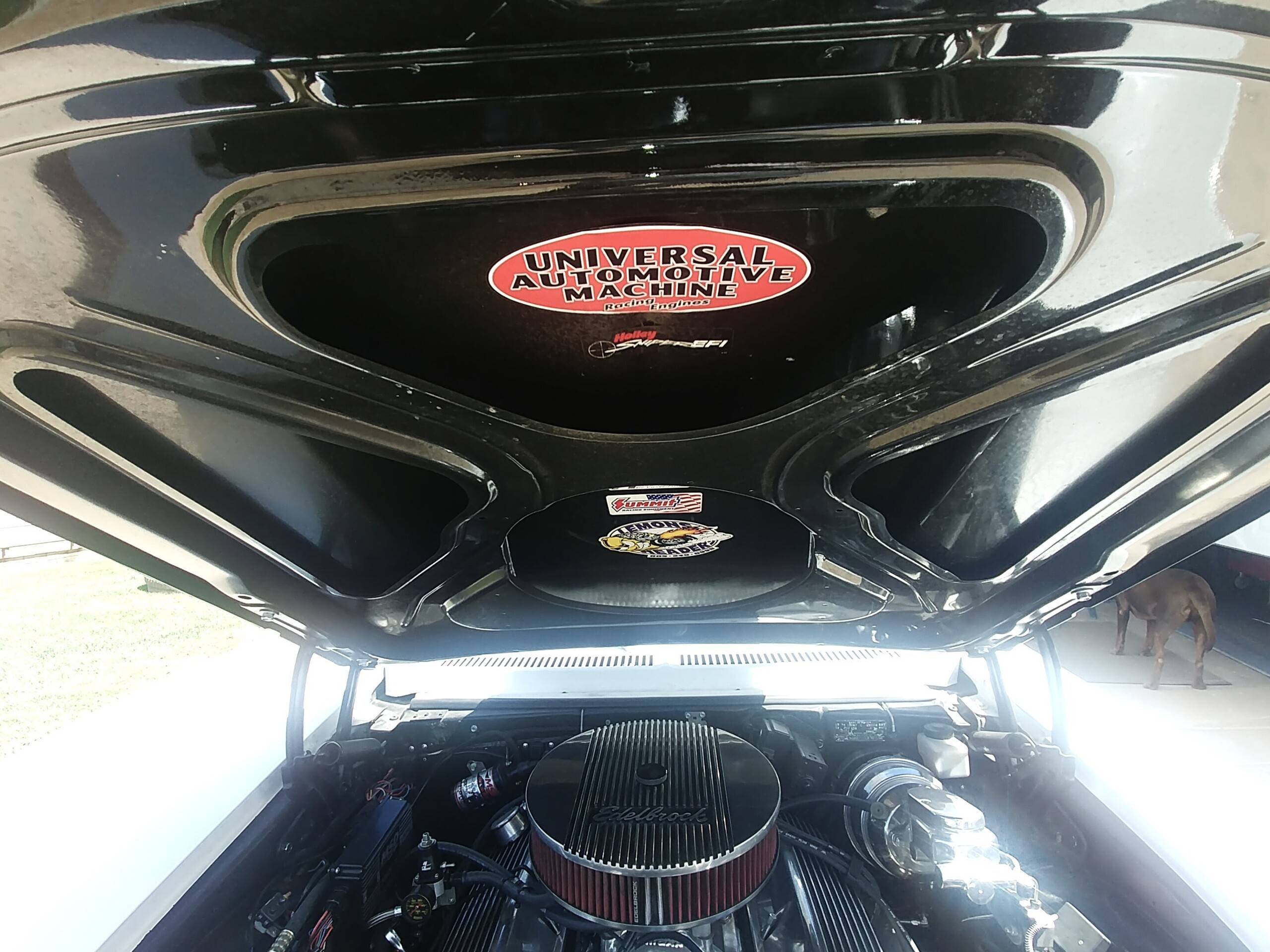 1973 Chevrolet Nova 23
