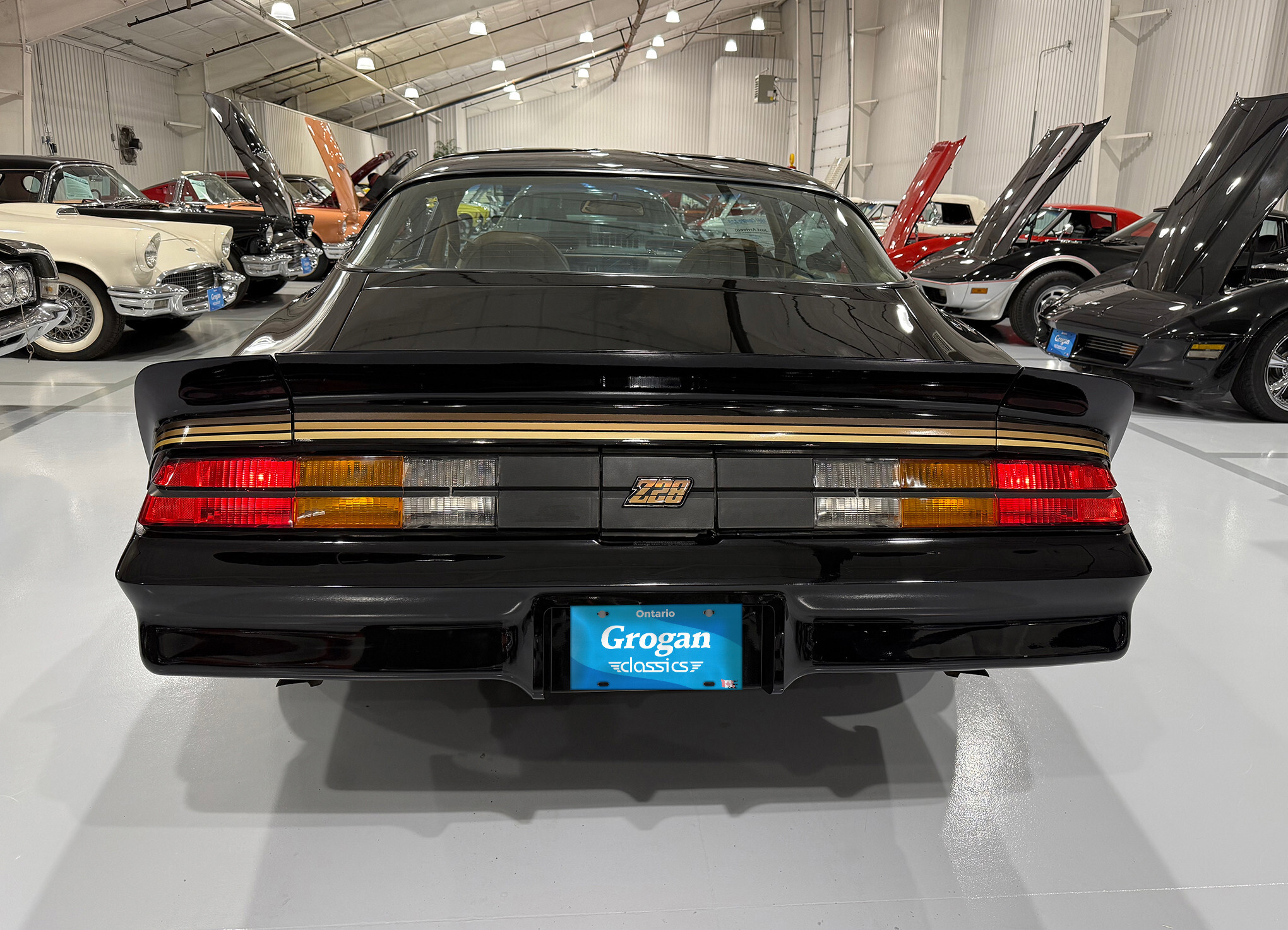 1981 Chevrolet Camaro Z-28 6