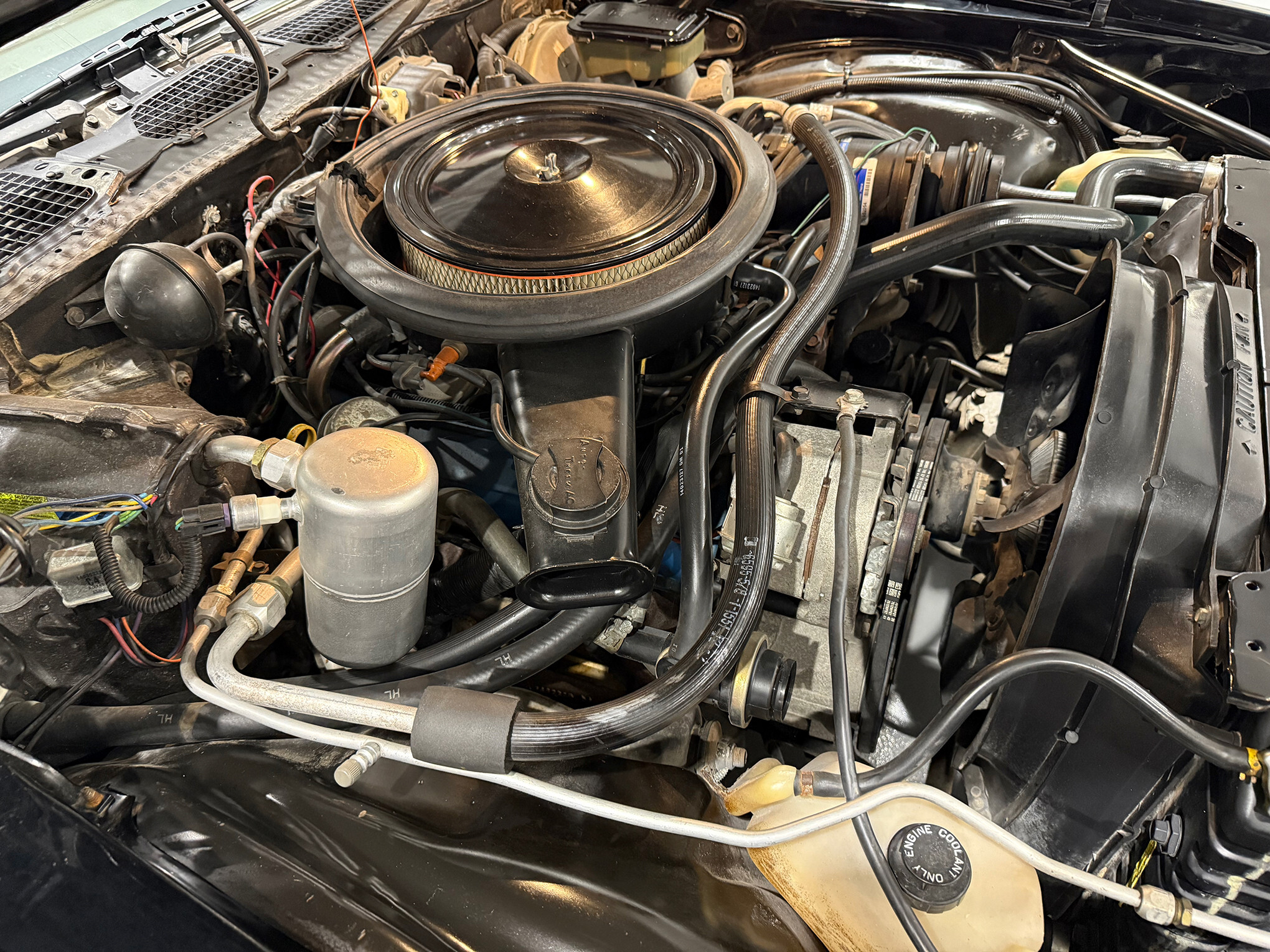 1981 Chevrolet Camaro Z-28 31