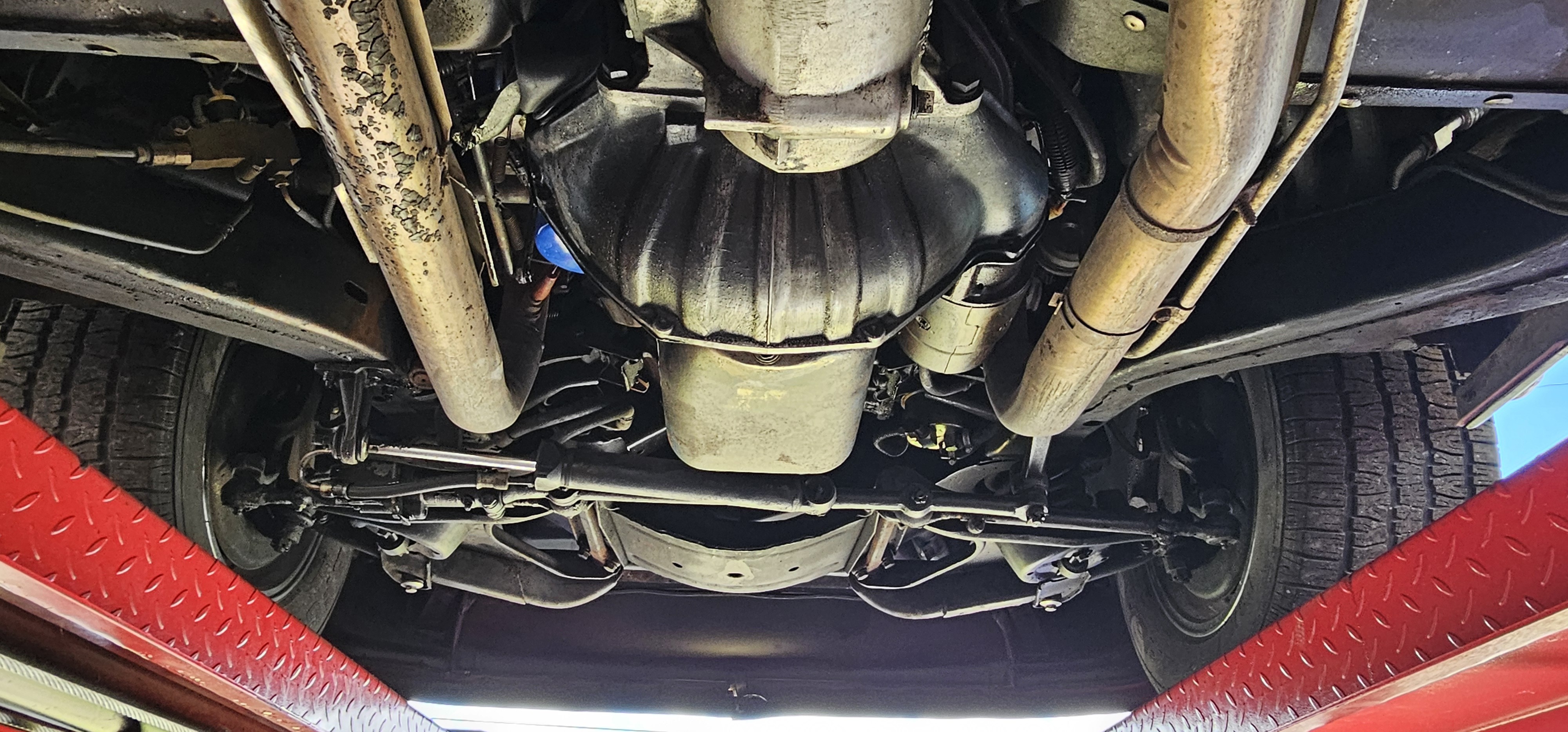1981 CHEVROLET CORVETTE 100