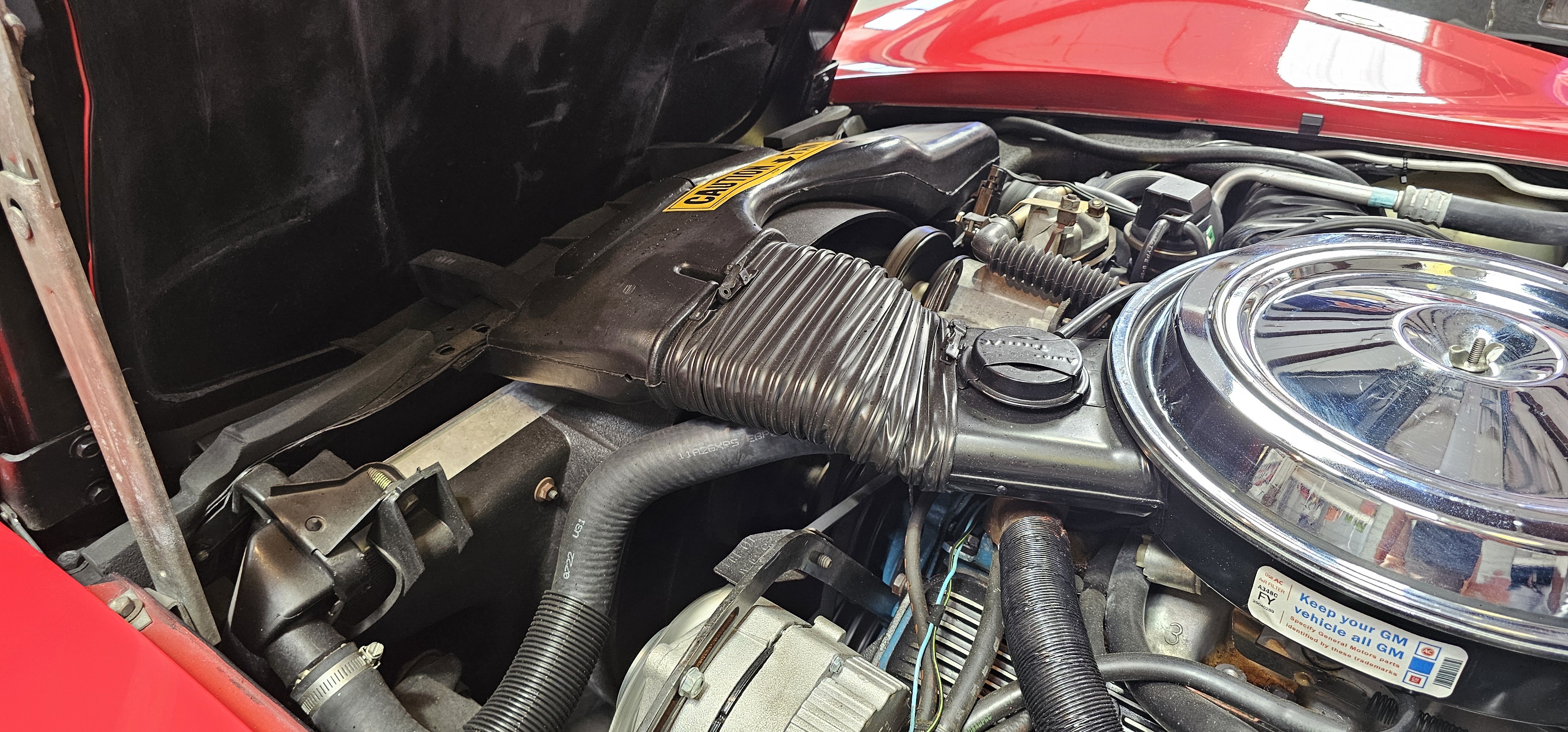1981 CHEVROLET CORVETTE 74
