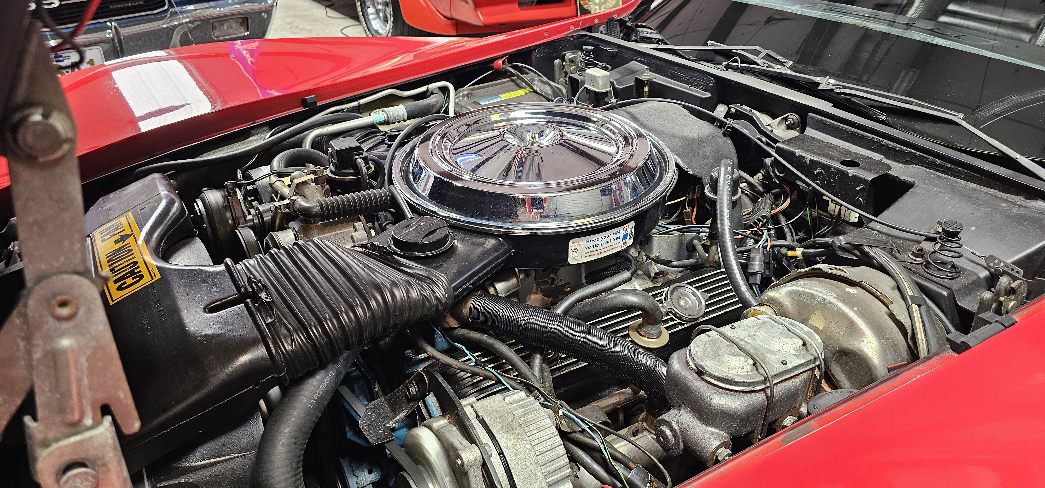 1981 CHEVROLET CORVETTE 75