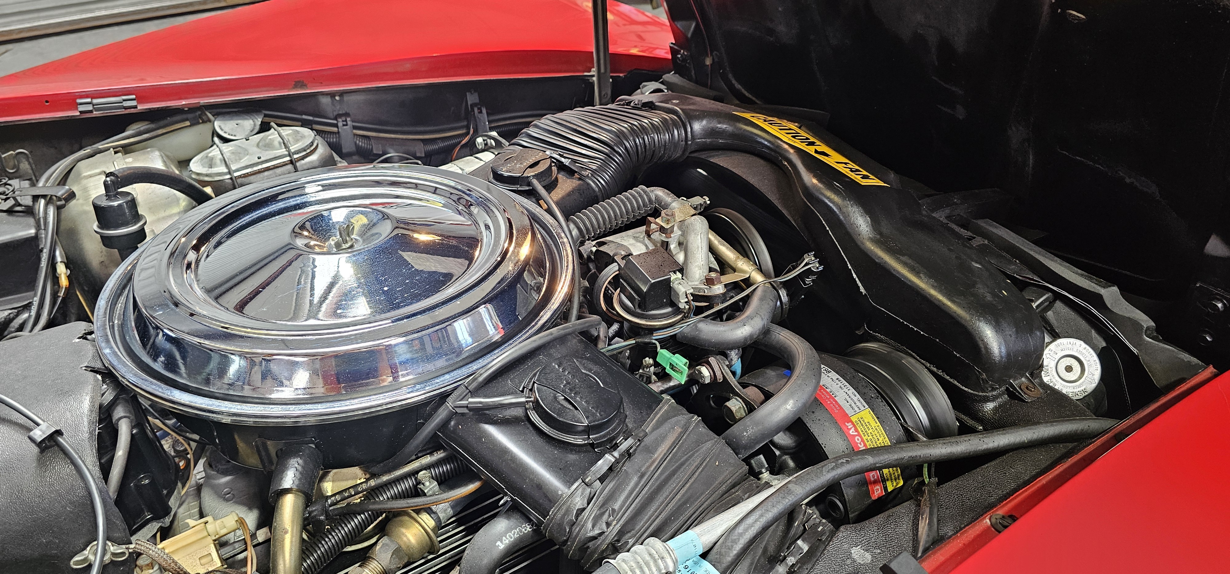 1981 CHEVROLET CORVETTE 80