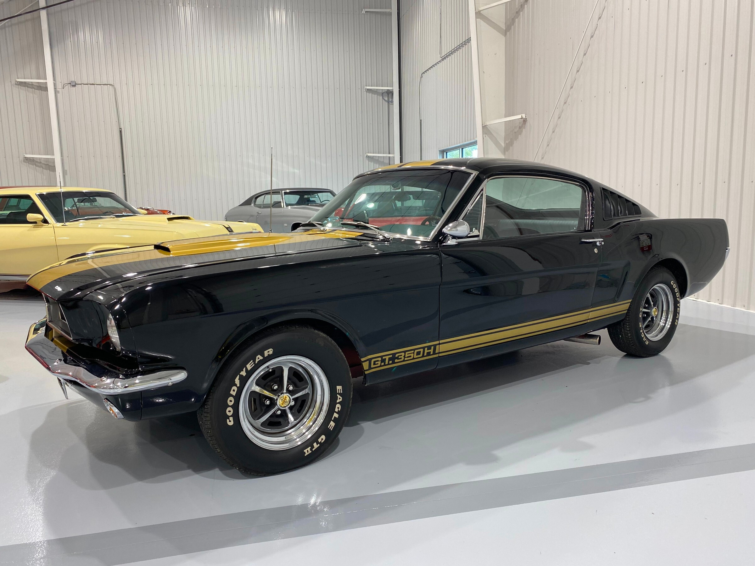 1965 Ford Mustang Shelby GT350H 3