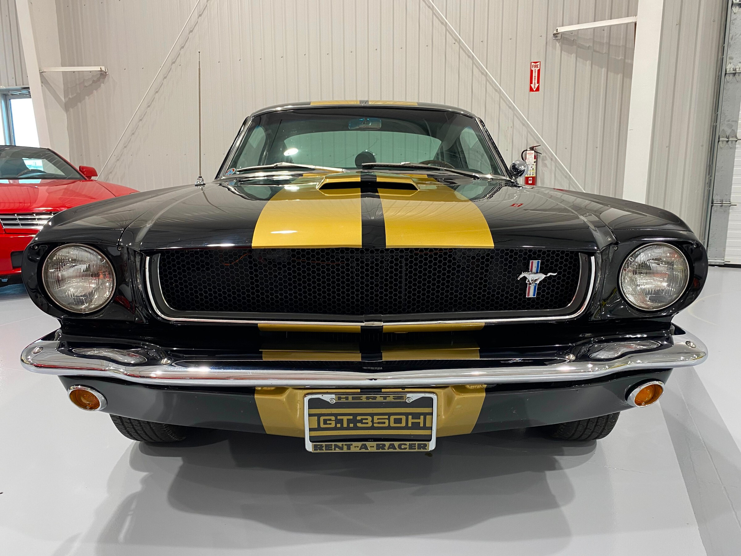 1965 Ford Mustang Shelby GT350H 7