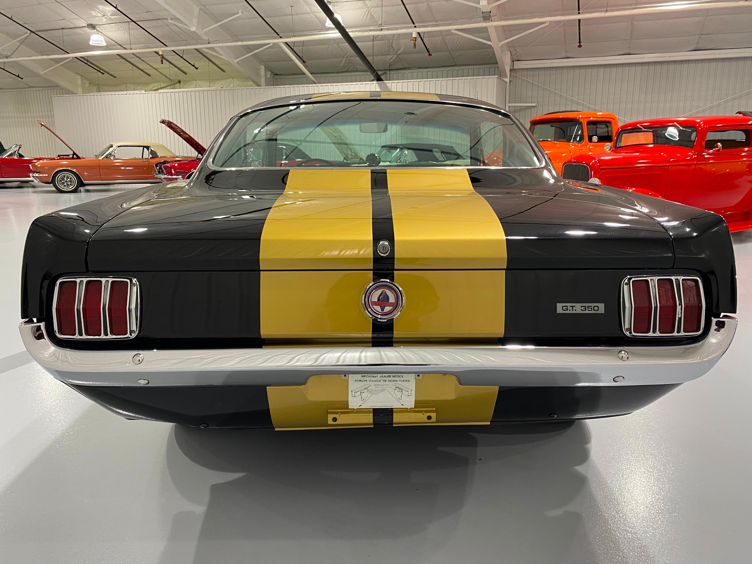 1965 Ford Mustang Shelby GT350H 4
