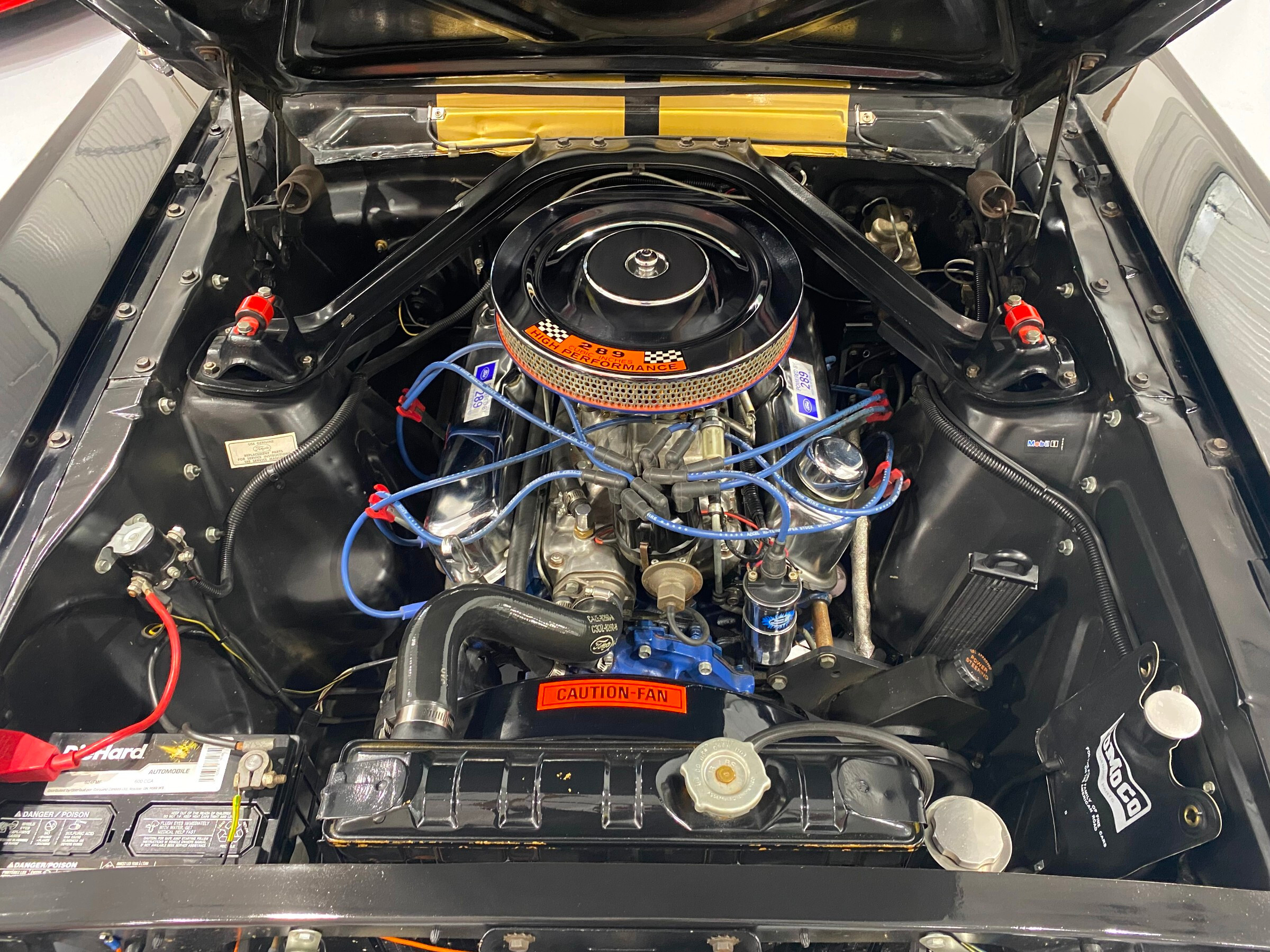 1965 Ford Mustang Shelby GT350H 17
