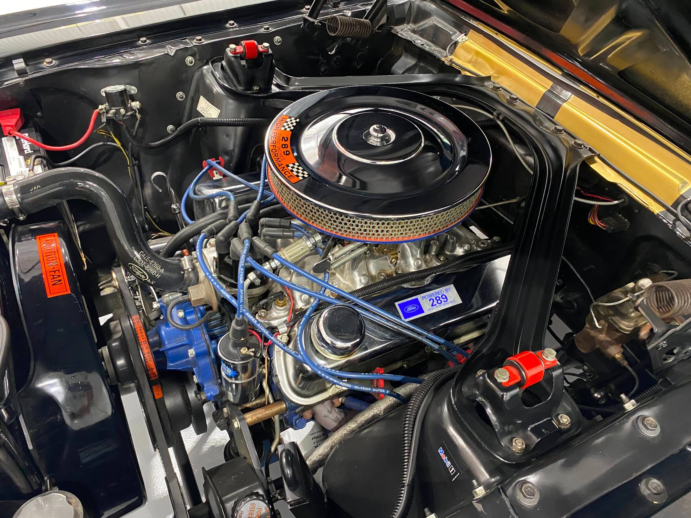 1965 Ford Mustang Shelby GT350H 19