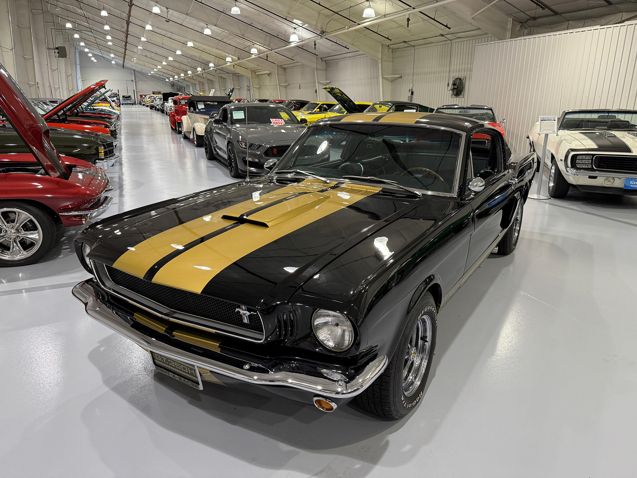 1965 Ford Mustang Shelby GT350H 2