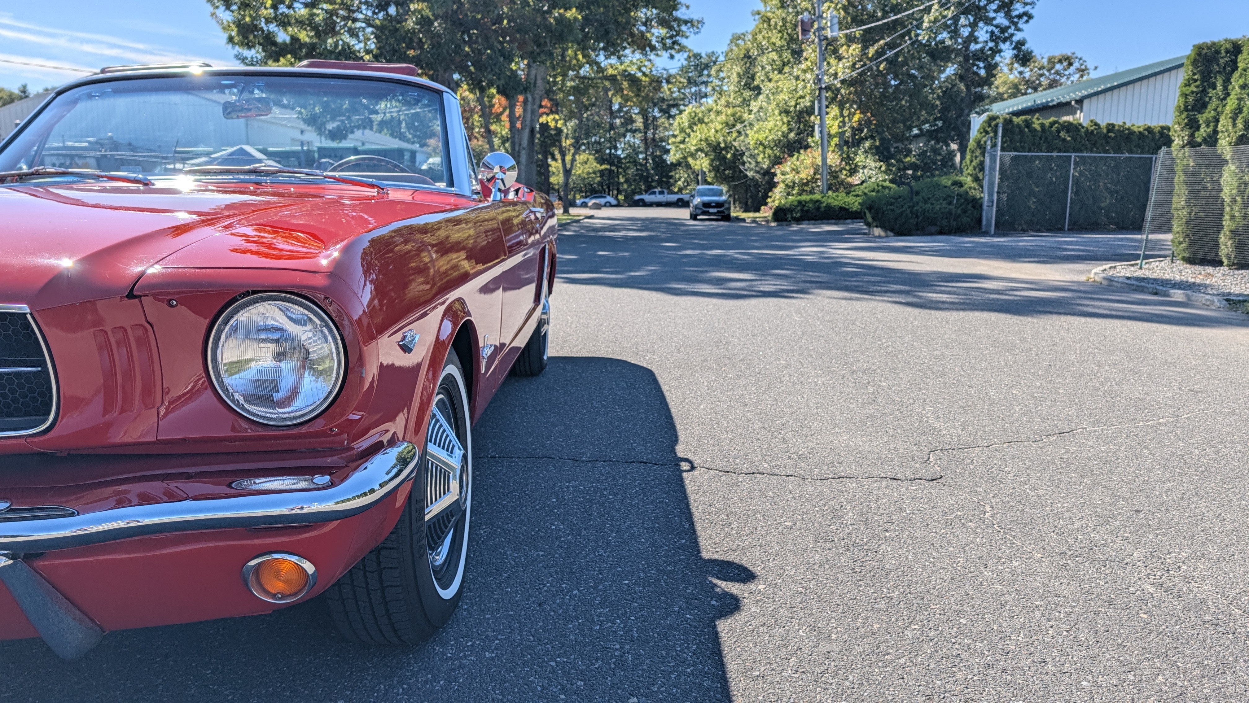 1965 Ford Mustang 12