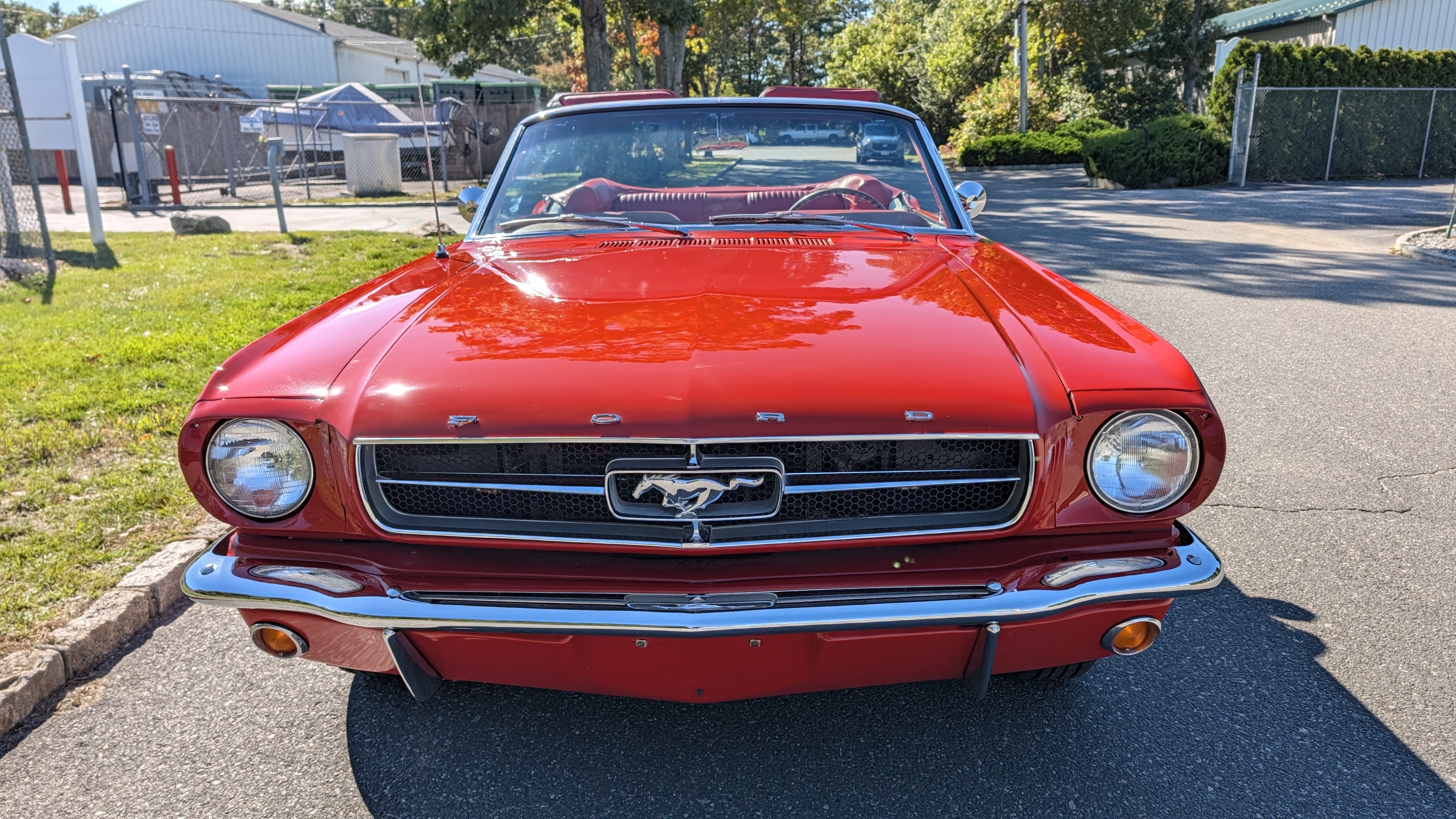 1965 Ford Mustang 13