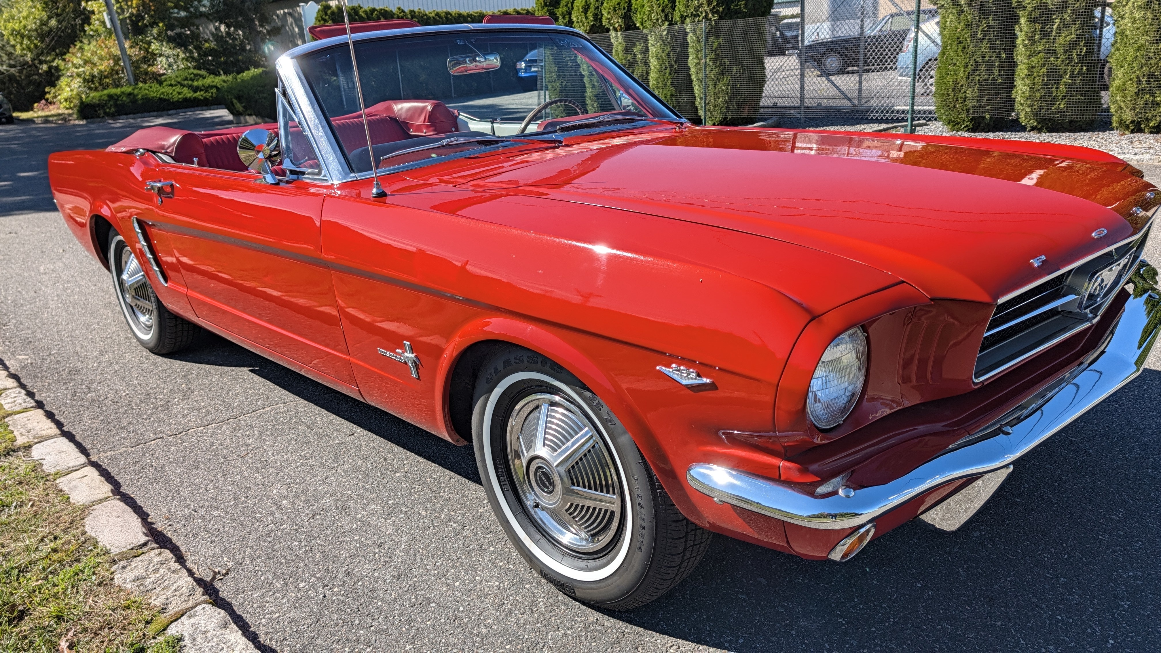 1965 Ford Mustang 14
