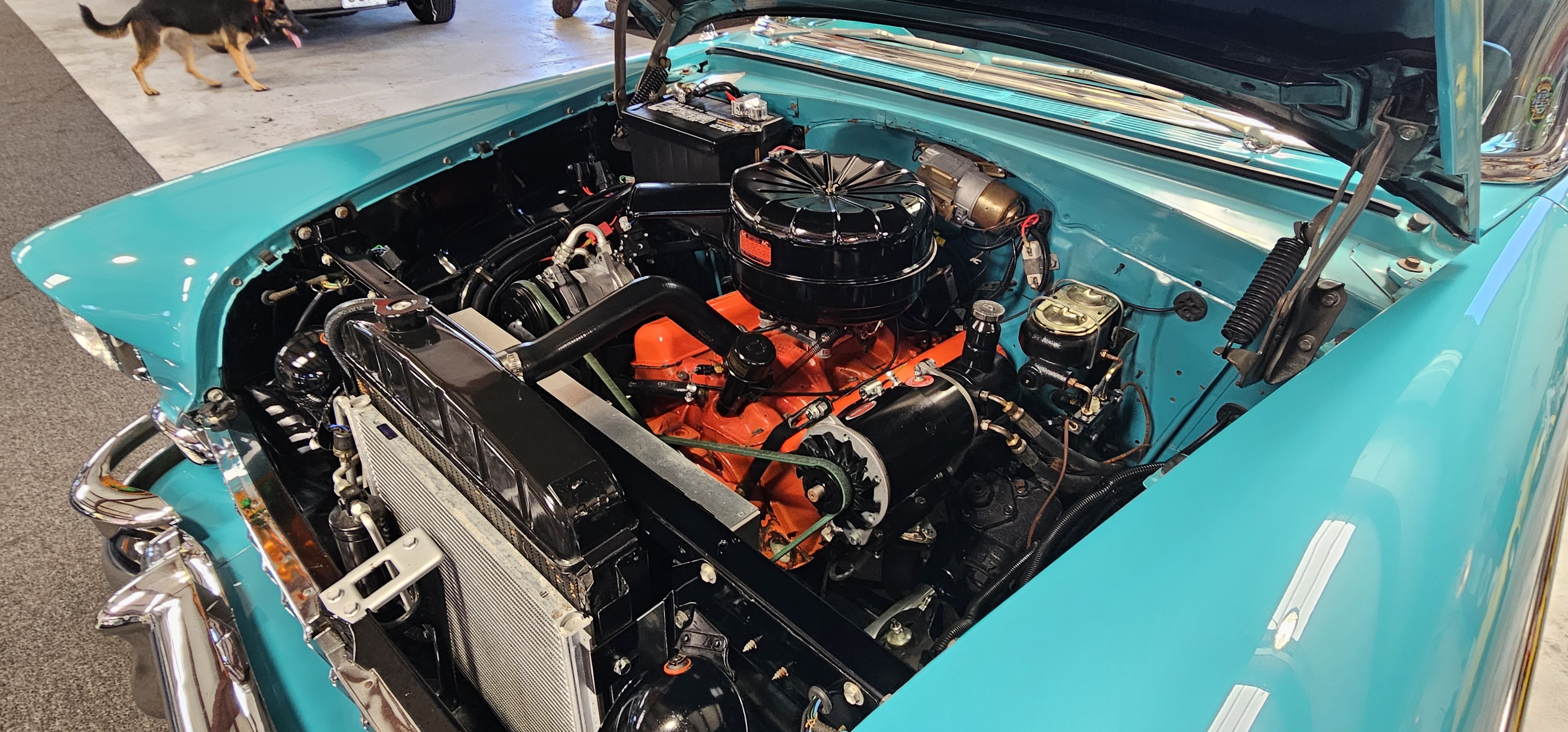 1855 CHEVROLET BEL-AIR 2-DOOR HARDTOP 101