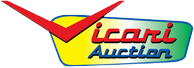 Vicari Auction
