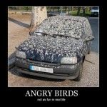angrybirds_358569