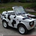 funny-looking-car-5