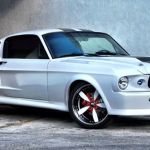 sample-image-mustang