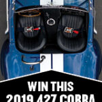 Cobra_ACC7_160x600
