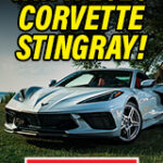 ACC_Banner_IMRRC_160x600