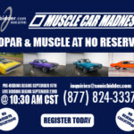 ACC_Skybannermobile_Muscle