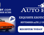 ACC_LBbannermobile_Exotic